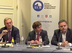 European Central Bank is overstepping its remit