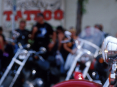 Minister Jambon: “Address the problem of outlaw motorcycle gangs on the international level”