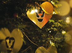 The N-VA wishes you a happy and healthy 2017!