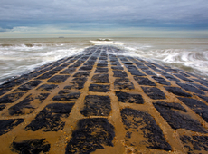 Flemish Minister-President wants North Sea Union