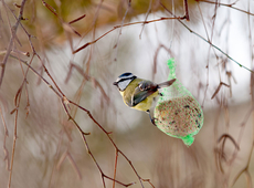 Nature does not need humans. On the contrary, we are dependent on it.