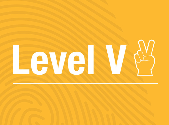 Level V