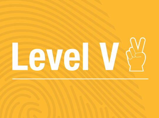 Level V Level V
