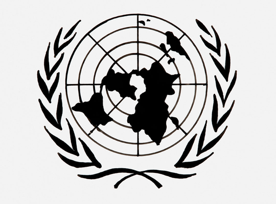 N-VA wants objective criteria for UN nominations