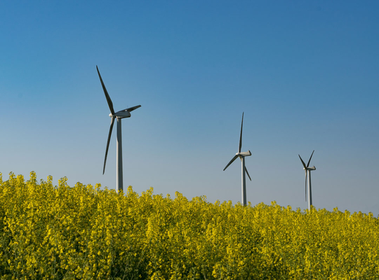 Renewable energy: EU sets bar too high