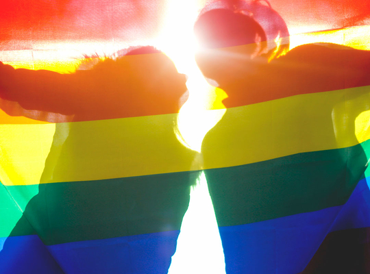 Les eurodéputés N-VA ne céderont pas d’un pouce sur les droits des LGBTI lgbti