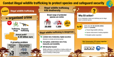 EU to crack down hard on illegal trade in animals